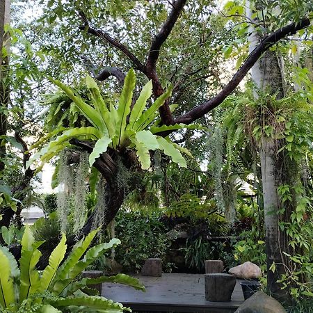 Sareeviengping Hotel Chiangmai เชียงใหม่ ภายนอก รูปภาพ