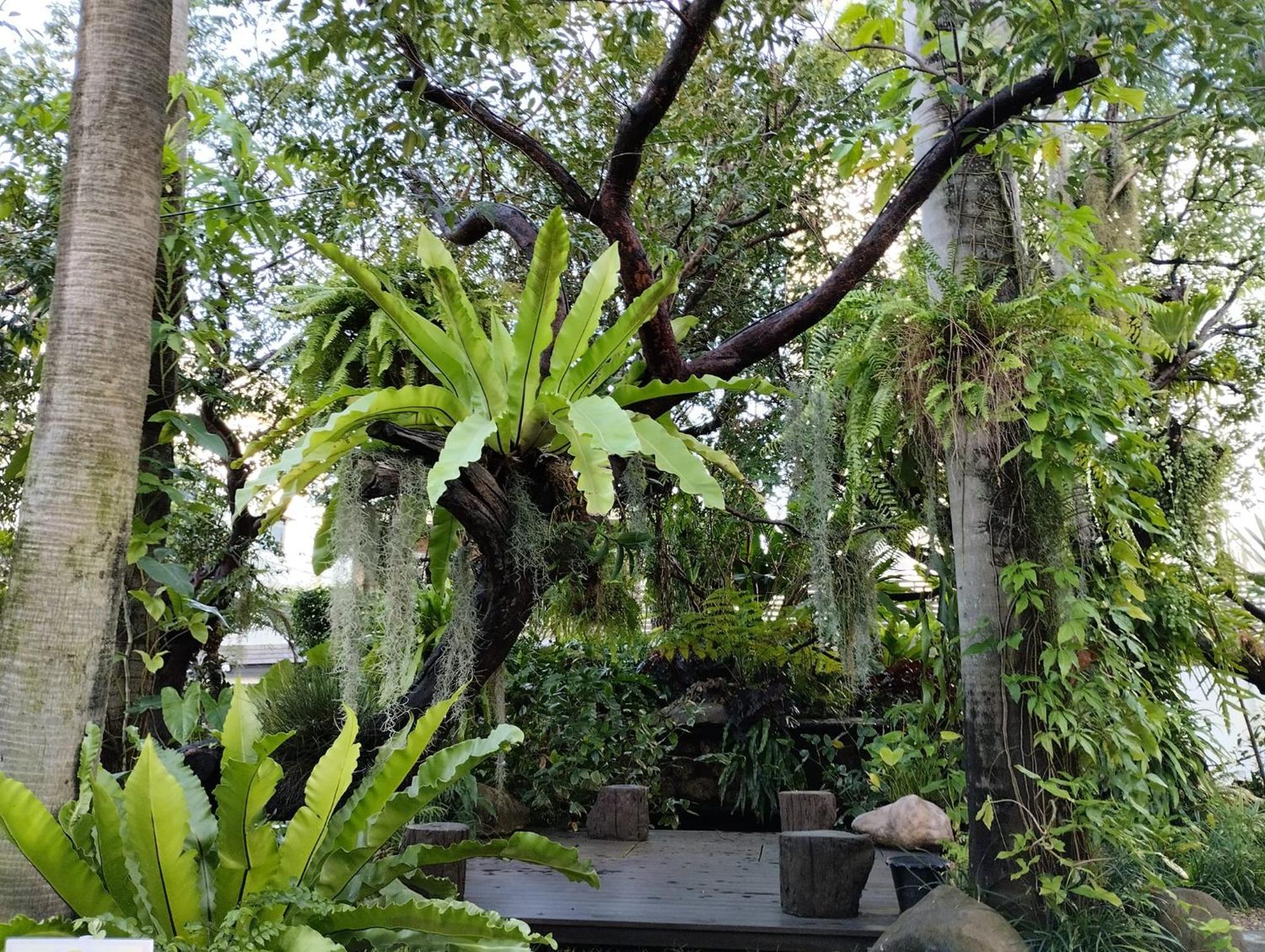 Sareeviengping Hotel Chiangmai เชียงใหม่ ภายนอก รูปภาพ